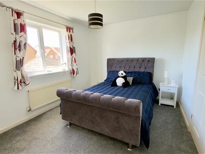 Picture 20